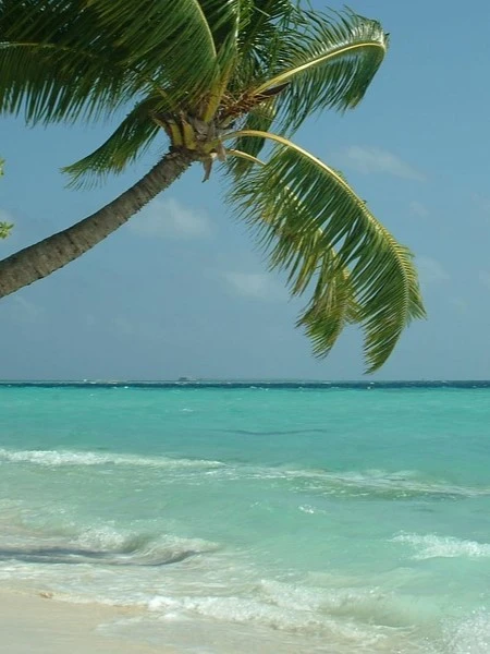 Palma Agencija Potovanja Počitnice